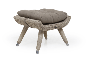 Brafab Silva rahi polyrottinki