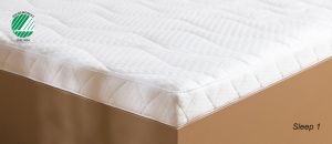 Sleep I petauspatja - Jensen